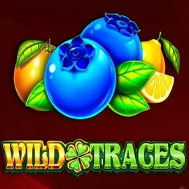 Wild Traces by Amusnet Interactive, showcased at rocketriches.eu – game logo